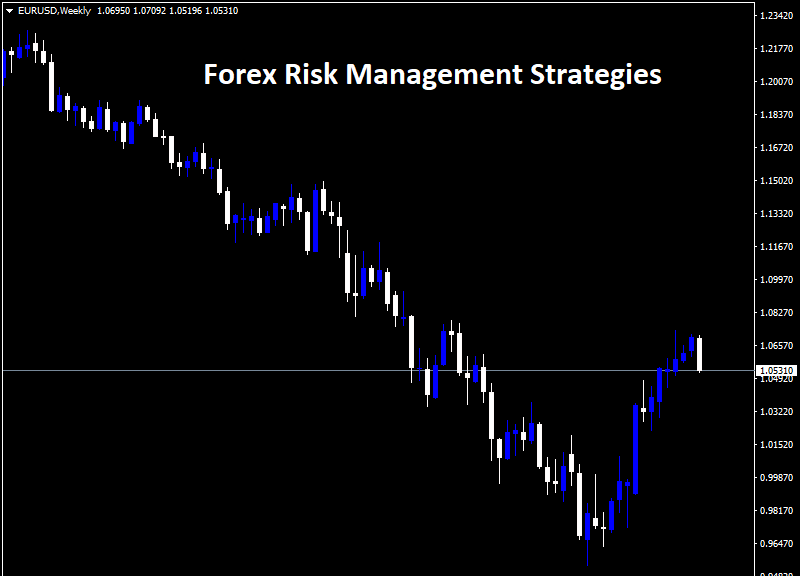 Forex Risk Management Strategies